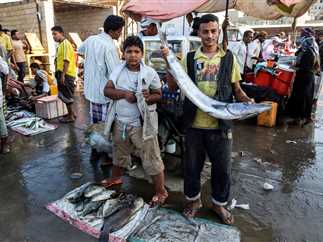 أعمال الصيد وتجارة الأسماك في البحر الأحمر في ميناء الحديدة باليمن